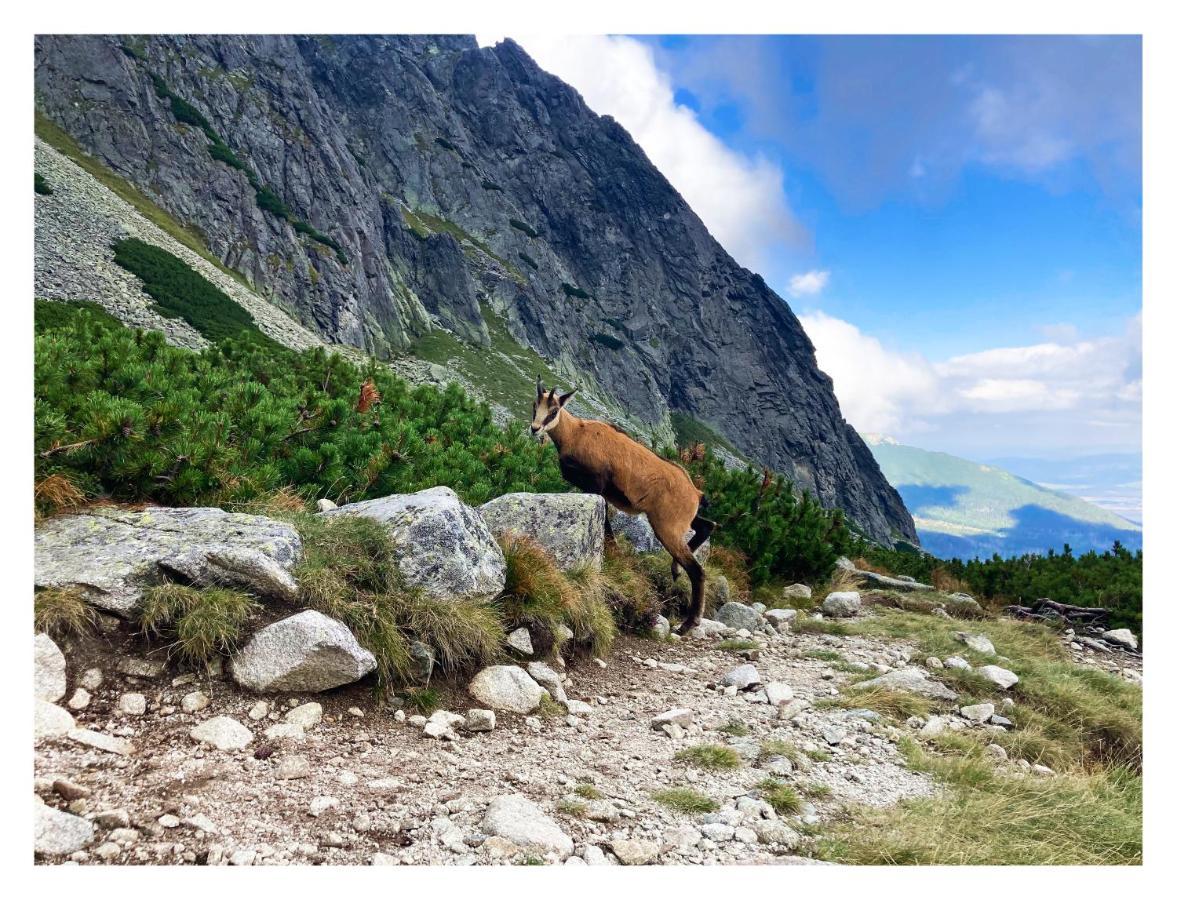 Willa Danielka Zakopane Luaran gambar